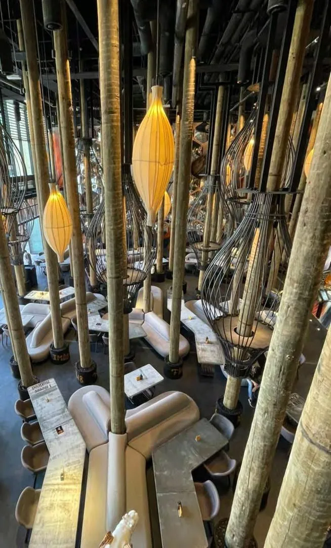 Branching timber columns rising to the ceiling